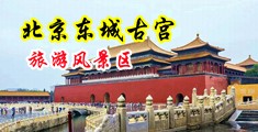 小鸡鸡猛插骚逼视频中国北京-东城古宫旅游风景区